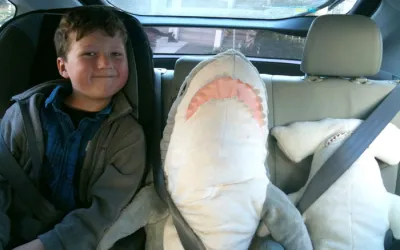 How to Teach Children to Wear Seat Belts in the Car