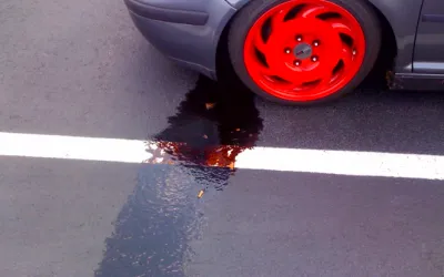 Importanța gardii la sol: tot ce trebuie să știi despre această caracteristică esențială