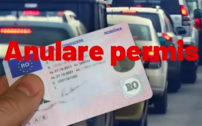 Fahrerlaubnisentzug: Straftaten mit endgültiger Aberkennung