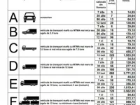 Atentie soferi. Un site neautorizat vinde roviniete cu 200% mai scumpe