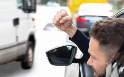 Practica neunitara in ceea ce priveste sentintele instantelor judecatoresti, cu privire la cazuri de conducere agresiva pe drumurile publice