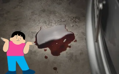 Scurgeri de ulei din cutia de viteze: cauze principale și soluții