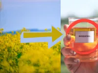 Biodiesel RME: ghid complet despre uleiul de rapiță metil ester