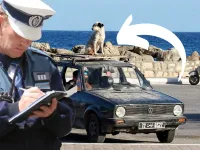 Top cele mai ciudate 34 de legi rutiere din intreaga lume!