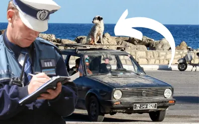 Top cele mai ciudate 34 de legi rutiere din intreaga lume!