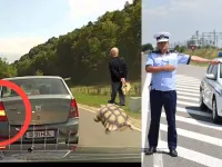 Poliția Română avertizează: semnalizarea nu îți dă prioritate în trafic