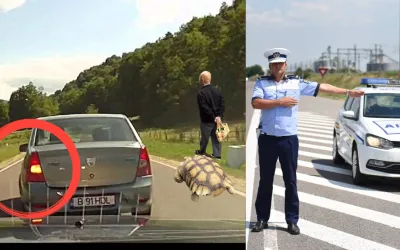 Poliția Română avertizează: semnalizarea nu îți dă prioritate în trafic