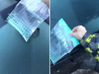 Video: Trucul unei mame a devenit viral: cum sa dezgheti parbrizul doar in cateva secunde!