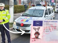 Disputa privind legalitatea impodobirii masinii cu nas rosu si coarne de ren. Punctul de vedere al MAI