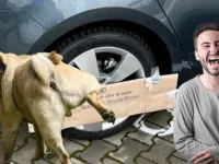 Un clujean starneste rasul, in mediul online, printr-un MESAJ FERM IMPOTRIVA URINATULUI PE ROATA MASINII – Atentie (…) „proprietate privata – personala”!