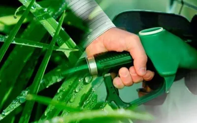 De astăzi, biocombustibilul devine obligatoriu în România. Cum să economisiți la consumul de combustibil?