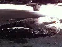 La tua macchina ha un odore strano?