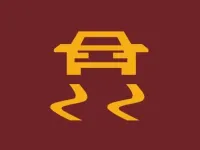 Indicador de control de tracción a bordo