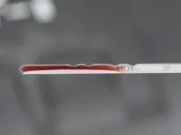 Culoarea uleiului de transmisie: ghid complet pentru diagnosticarea stării cutiei de viteze