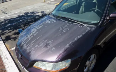 Cum afectează antigelul și lichidul de frână vopseaua mașinii - ghid complet