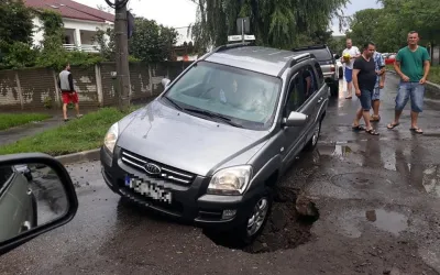 Rovinieta 2024: preturi, amenzi si cum sa eviti sanctiunile