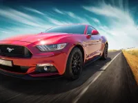 Car Tire Types and History: A Complete 2024 Guide