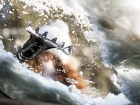 Doua legume ieftine, pe care le ai in casa, te ajuta sa dezgheti parbrizul masinii!