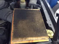 Air filter lifespan and replacement timing