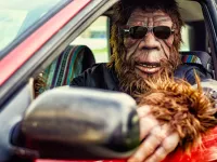 TOP Cele Mai Ciudate Legi Auto din Lume