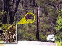 POZE: 6 radare imposibil de detectat de Soferi. Uite unde au fost ascunse!