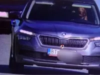 Incident inedit capturat de camerele de Viteză: Un Câine, Surprins în Timp ce Depășea Limita de Viteză Legală