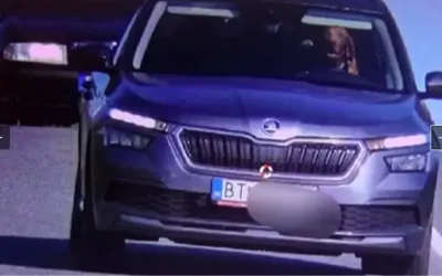 Incident inedit capturat de camerele de Viteză: Un Câine, Surprins în Timp ce Depășea Limita de Viteză Legală