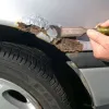 How to remove rust from your car: a complete DIY repair guide