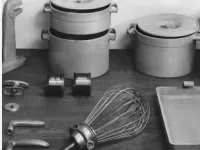 Nu stia sigur asta? BMW a produs candva TIGĂI